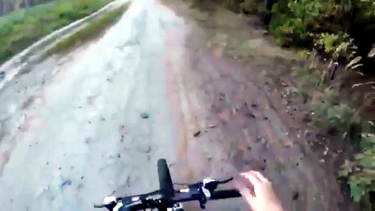 Sfugge ad un orso mentre riprende la discesa in bici con la GoPro