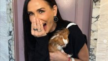 Demi Moore's dog Pilaf has reportedly passed away