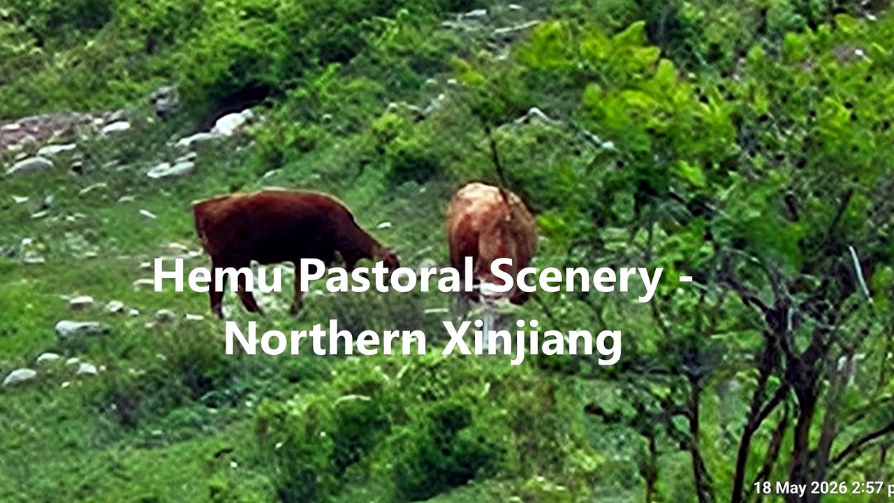 Hemu Pastoral Scenery - Northern Xinjiang