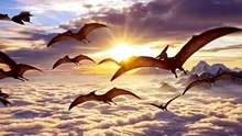 Flying Dinosaurs Above the Clouds 🦖☁️