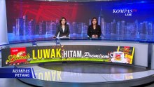 Yasinta Moiwend soal Pesta Babi: Laporkan Ketua LBH Papua Merauke | KOMPAS PETANG