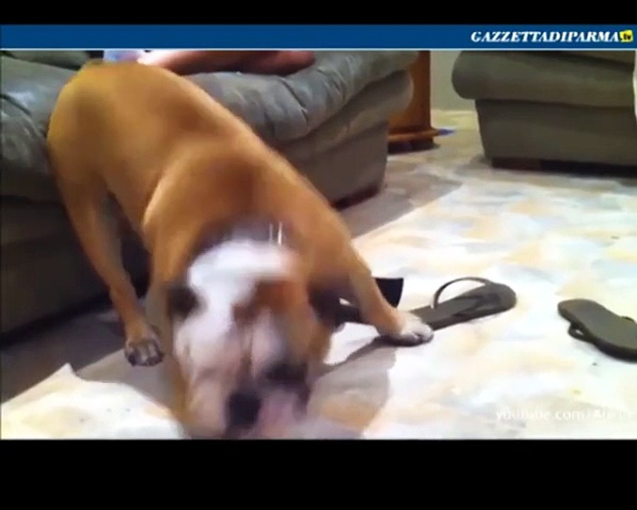 Ma che sonno ....