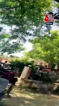 पैसों से भरा बैग छीनकर भागा बंदर, पेड़ से की नोटों की बारिश, Video