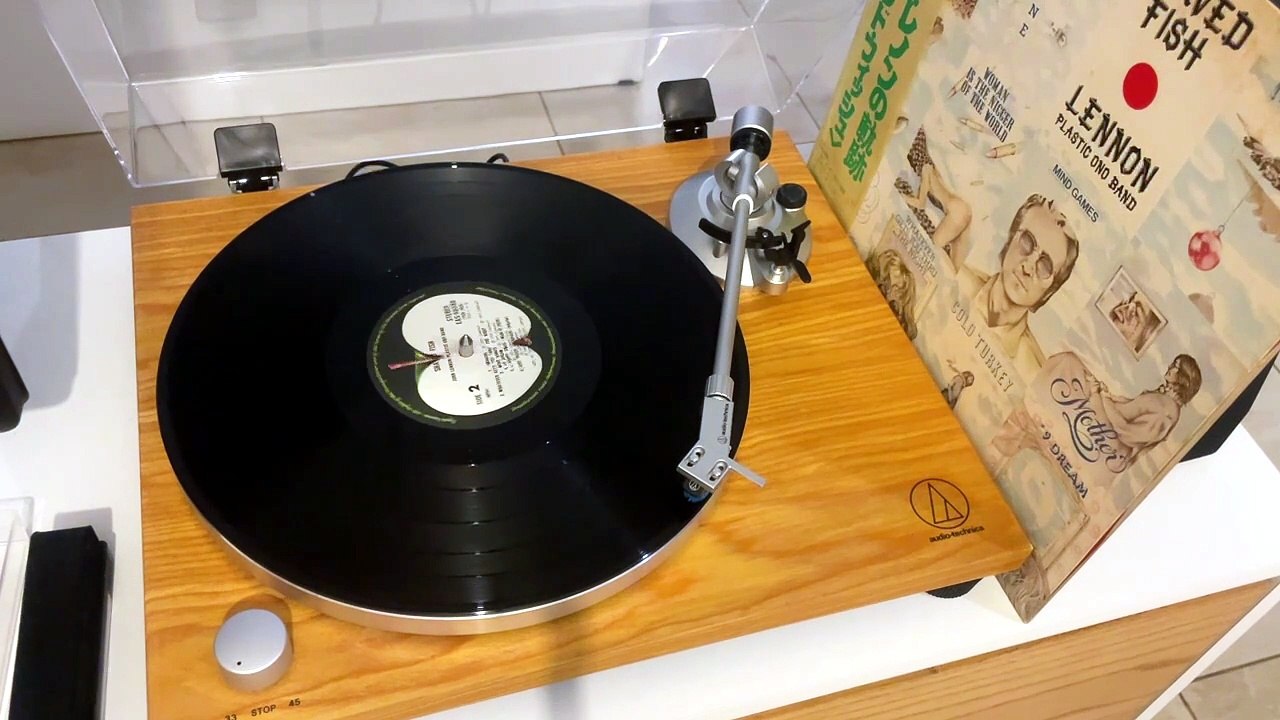Lennon - Shaved Fish