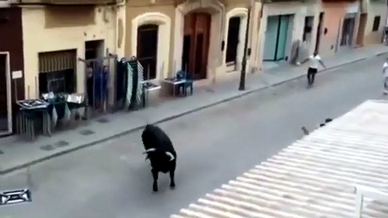 Toro in fuga a Valencia fa una sosta imprevista in banca