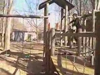 Mini 2º Sampler [Mambrilla de Castrejon] 2008