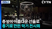 총성이 아름다운 선율로...총기로 만든 악기 전시회 / YTN