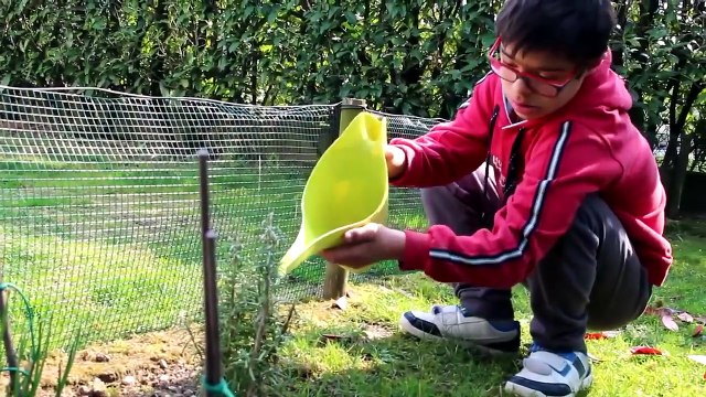 Se Giacomo racconta Giò, il fratello con un cromosoma in più Video
