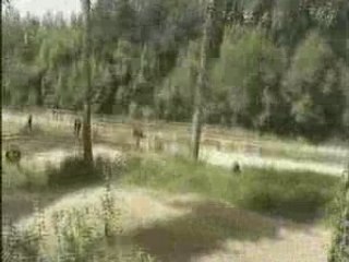 CLEMENT MONT NOTRE DAME 250 KXF