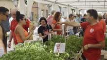 Folclore, oficios y gastronomía en la Feria del Espárrago de Tudela de Duero