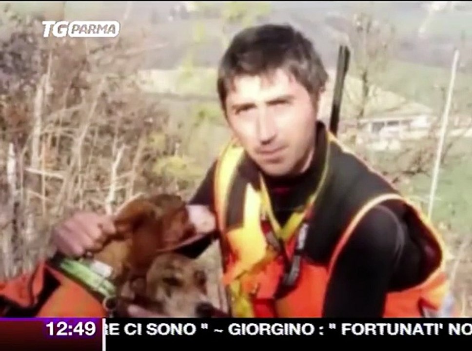 caccia