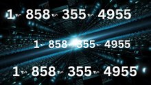 ≋《》List of Coinbase ® – [U.S. Toll Free Numbers: A Comprehensive Step-by-Step Guide