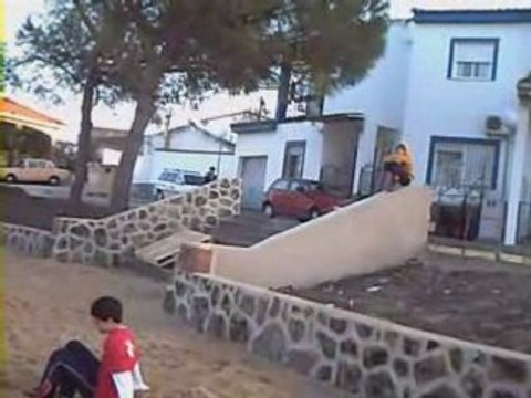 Mini 1er Sampler [Lh] 2007