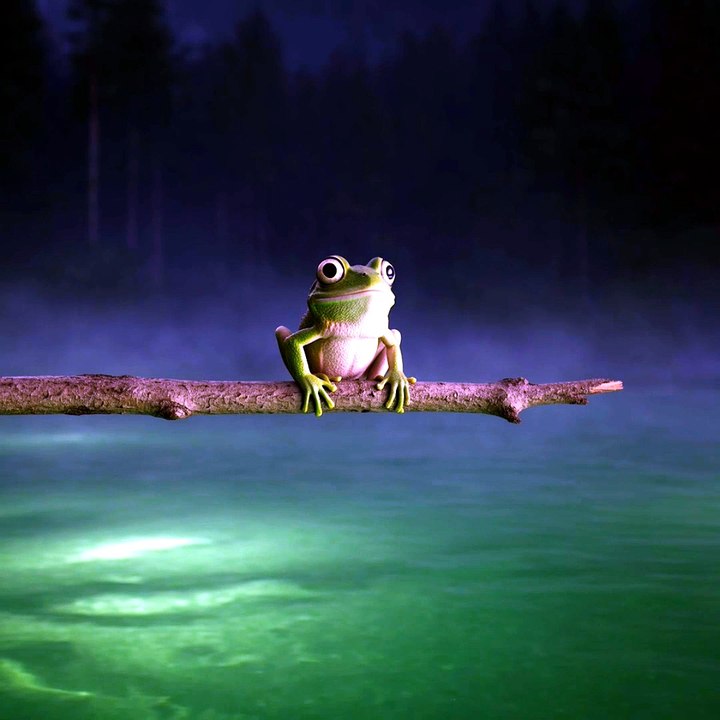 Frog in loop