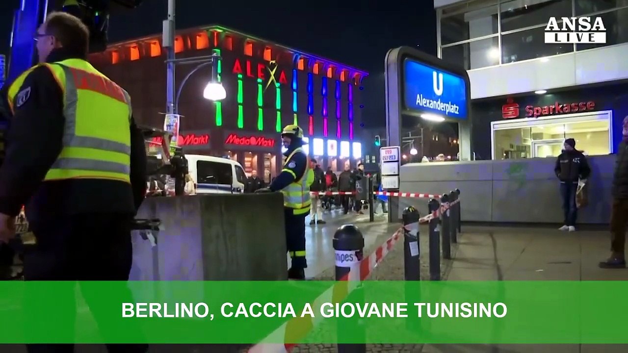 ANSAtg delle ore 8