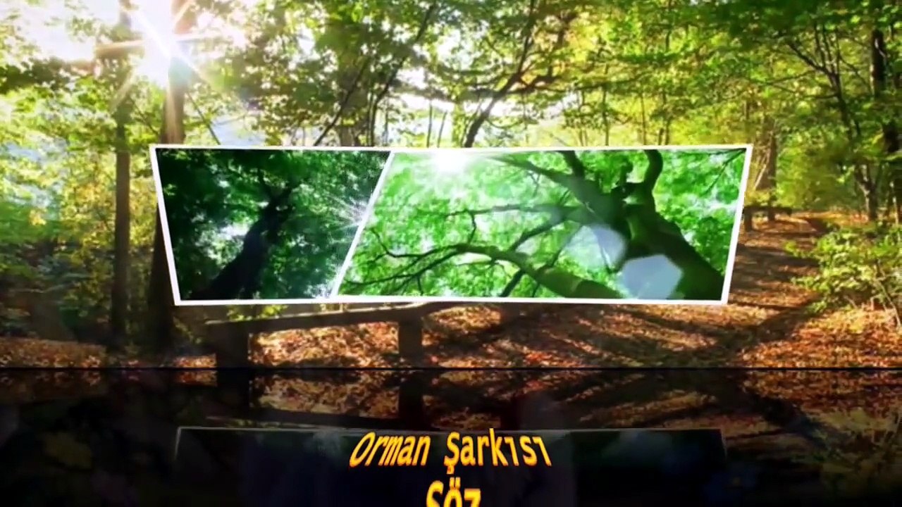 Orman Şarkısı Söz Aynur AVCI Müzik AI  Doğa Besteleri Çocuk Şarkısı
