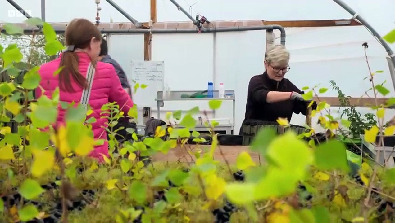 Countryfile 1988 Season 37 Episode 47 Engsub
