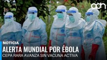OMS declara emergencia global por brote de ébola sin vacuna