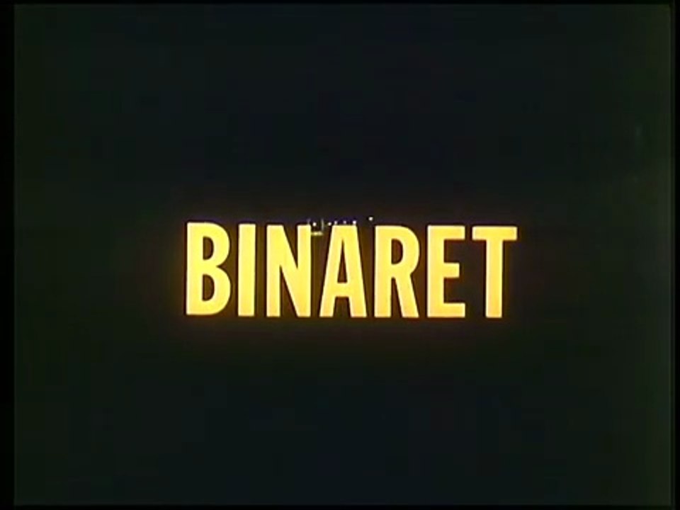 Binaret 1987