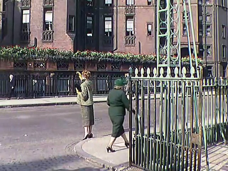 Doctor in the House 1954