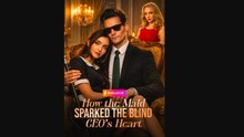 How The Maid Sparked The Blind Ceo's Heart Shorten