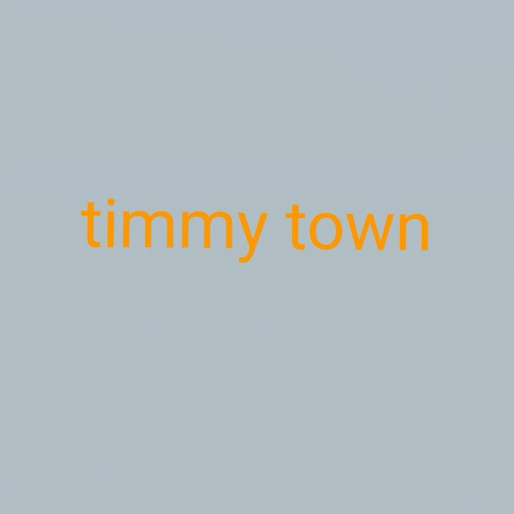 Timmy town