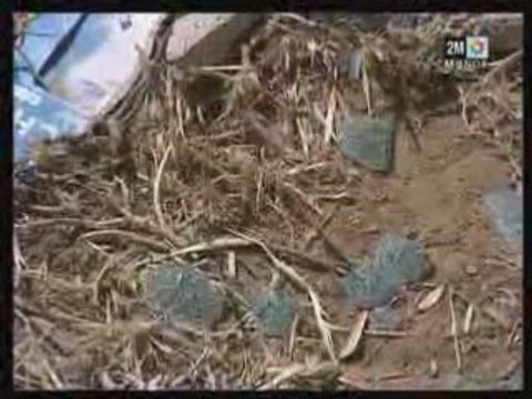 Décès de Hicham Belkass du Groupe Fnaire