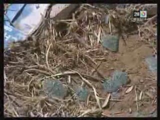 Décès de Hicham Belkass du Groupe Fnaire