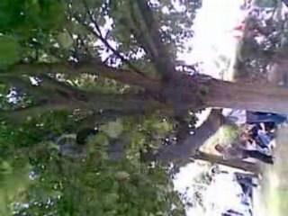 La récré' sans les pions ;D