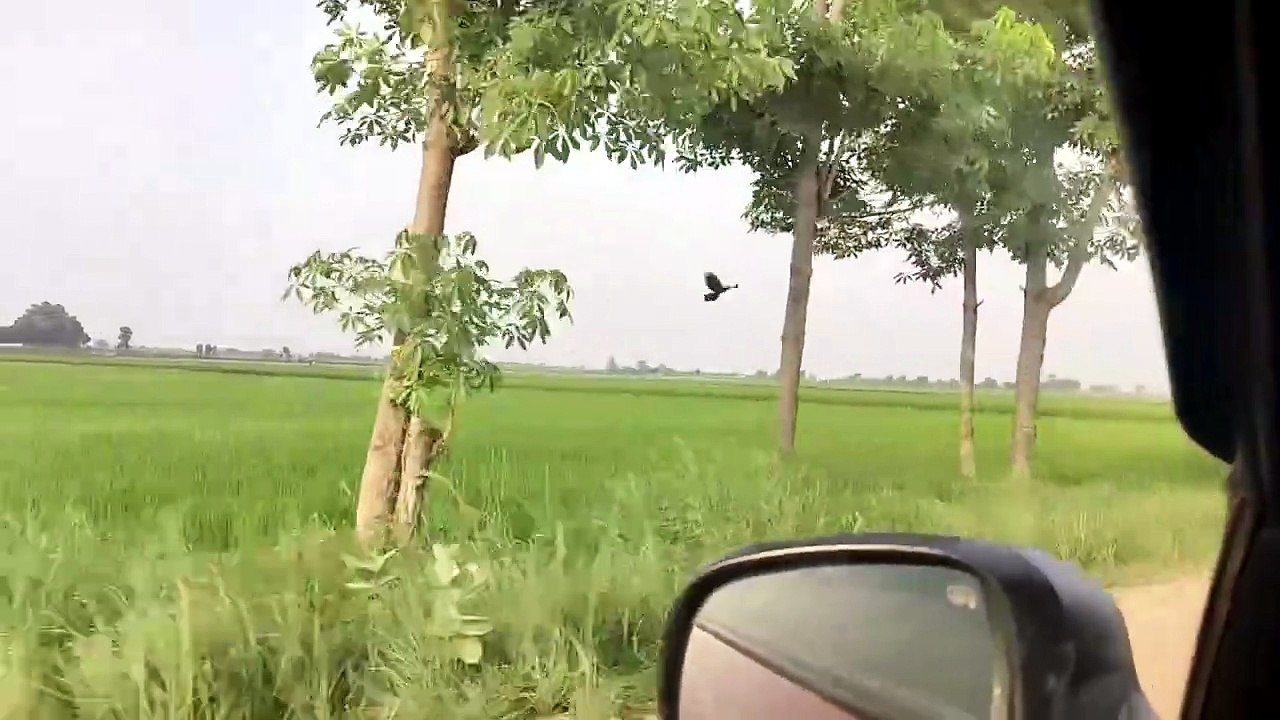 منتهاي کار، از خود رفتگان، معلوم نيست منزل اين کاروانها، از تصور برتر است
