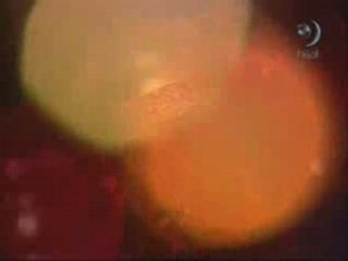 Bu yağmur niye yağar ki! Mustafa İslamoğlu şiir