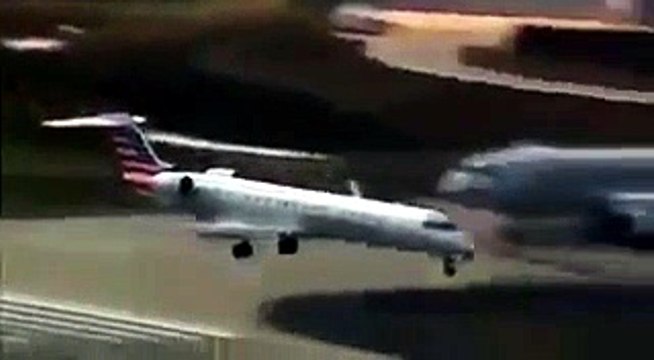 Aereo si scontra con un cervo al decollo: atterraggio d'emergenza