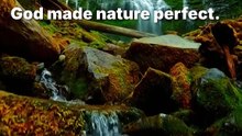 God made nature perfect but...
