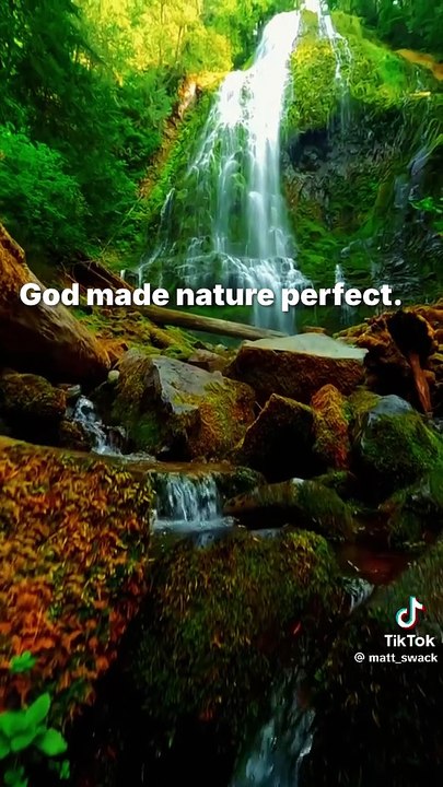 God made nature perfect but...