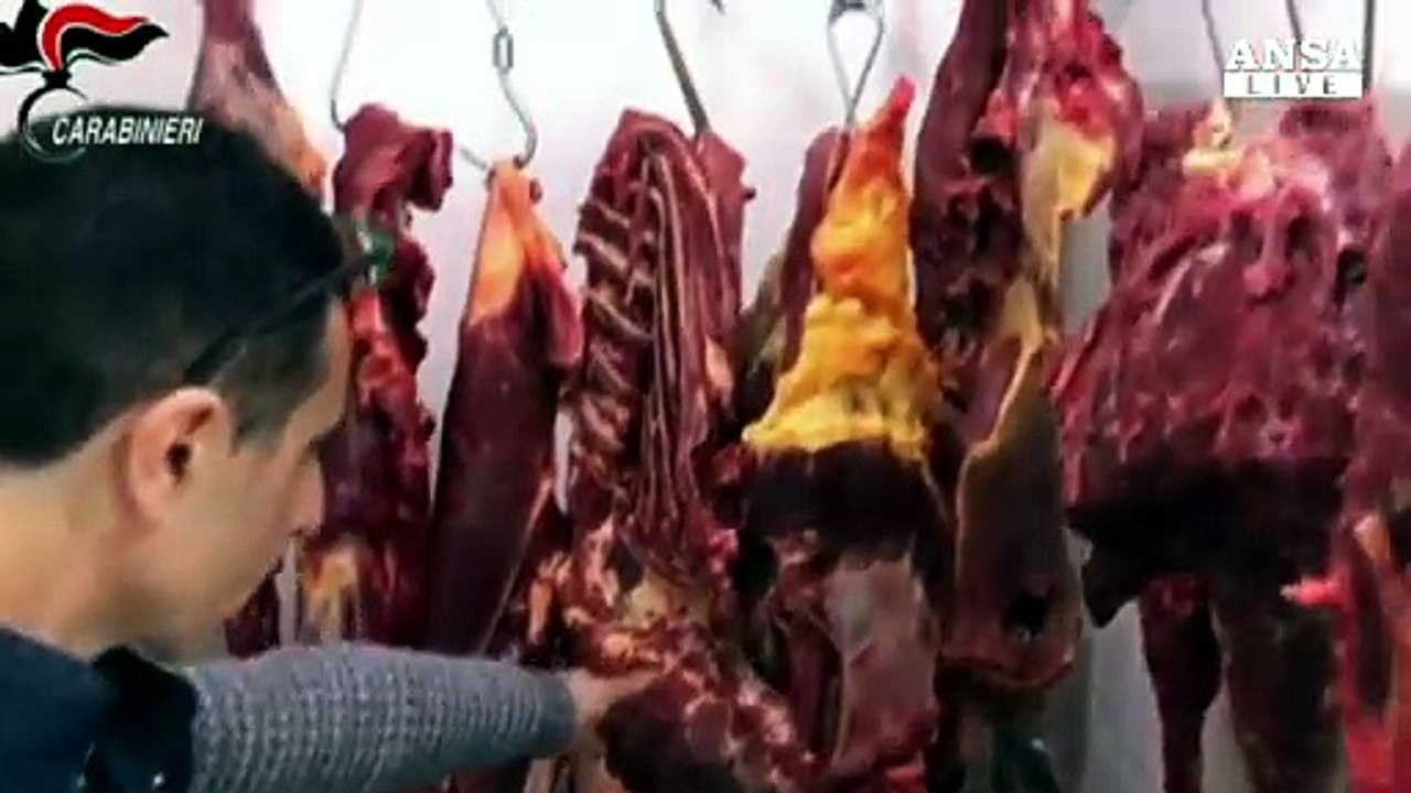 Sequestrata carne equina macellata illegalmente