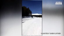 Colorado, il 'compagno' di pista e' un alce
