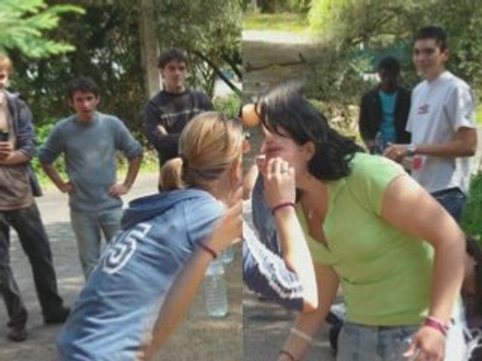 Intégration IUT De Lannion 2007