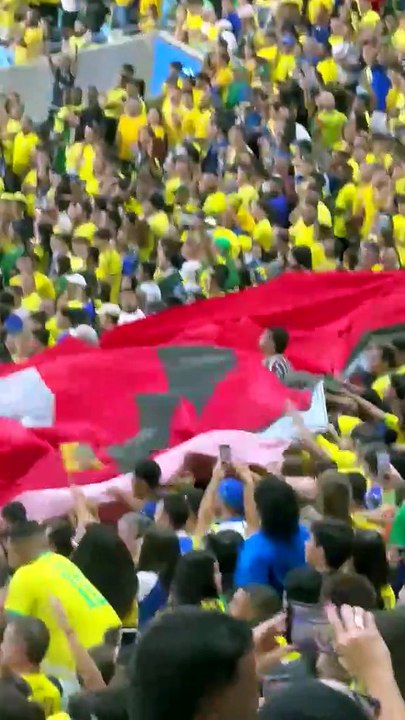 Torcedor do Fluminense em confusão com bandeira rubro-negra no amistoso Brasil x Panamá - 31.05.2026