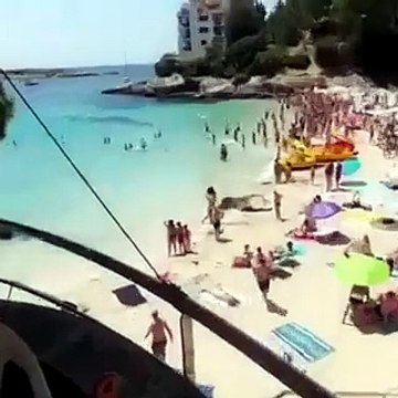 Squalo in mezzo ai bagnanti: panico in spiaggia