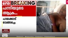 പന്നിയുടെ ആക്രമണത്തിൽ ബസ് കണ്ടക്ടറുടെ കാലൊടിഞ്ഞു; ചികിത്സയിൽ തുടരുന്നു | Wild aBoar Attack