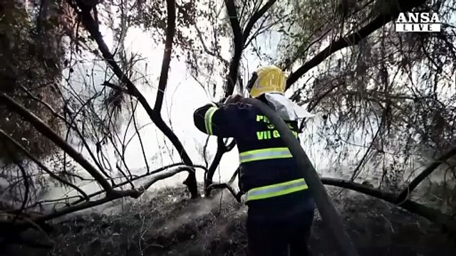 Castelfusano in fiamme, Raggi: disastro ambientale