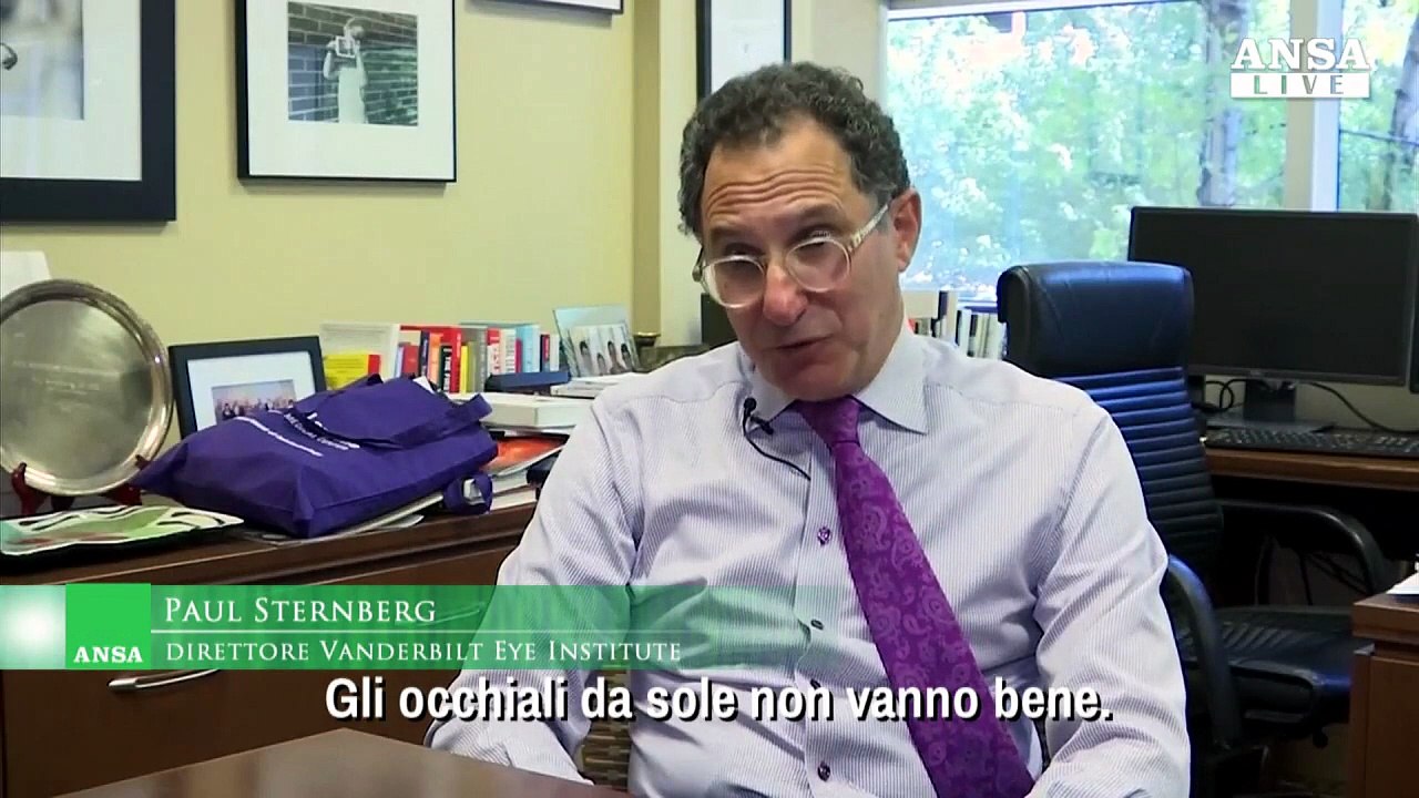 Eclissi, istruzioni per l'uso