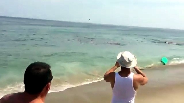 Lo squalo attacca, panico in spiaggia