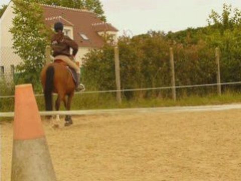 15 juin: séance etho pas top avec Flipp