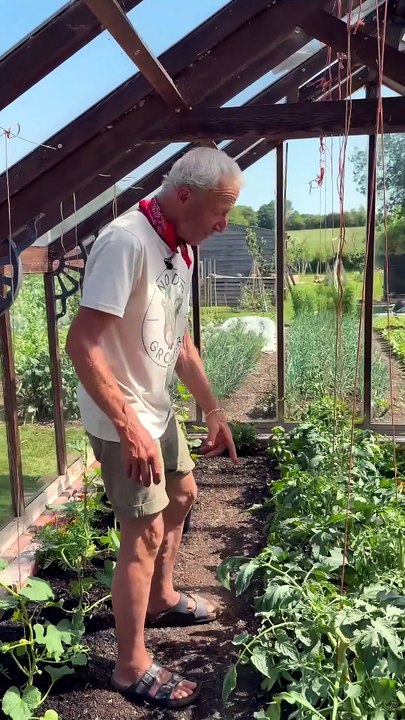 El primer mes de jitomates, melones y pepinos jóvenes bajo cubierta