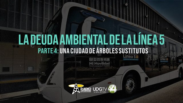 La deuda ambiental de la L5 | Parte IV: Una ciudad de árboles sustitutos