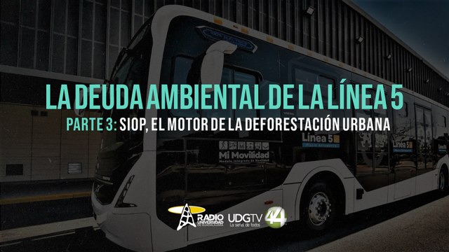 La deuda ambiental de la L5 | Parte III: SIOP, el motor de la deforestación urbana