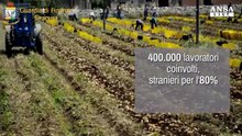 Caporalato, dati preoccupanti