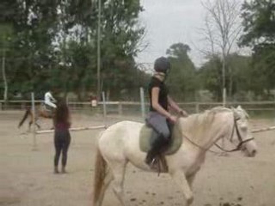 Cours aux écuries du loup le 17 juin 2008