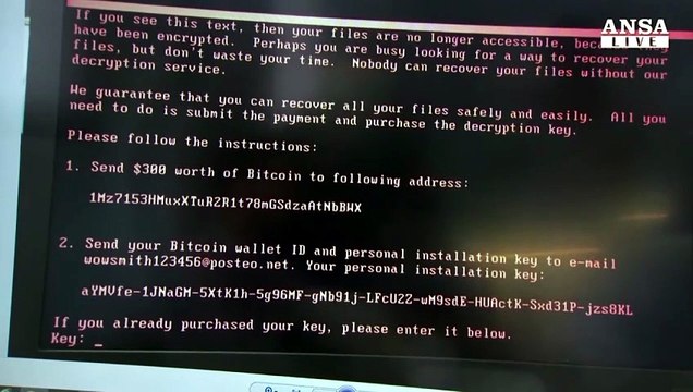 Un cyberattacco costa piu' di un disastro naturale,fino a 120 mld